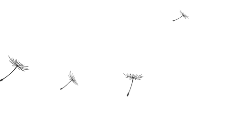 202412314599645 AG一飞冲天300倍游戏(中国游)·官方网站
