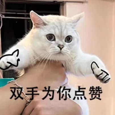 202412316522395 AG一飞冲天300倍游戏(中国游)·官方网站